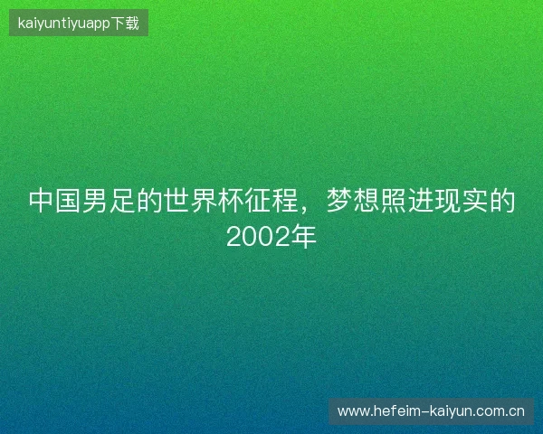 中国男足的世界杯征程，梦想照进现实的2002年